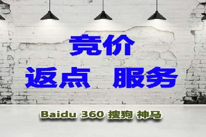 深度解析SEM推广代运营的成功案例及策略